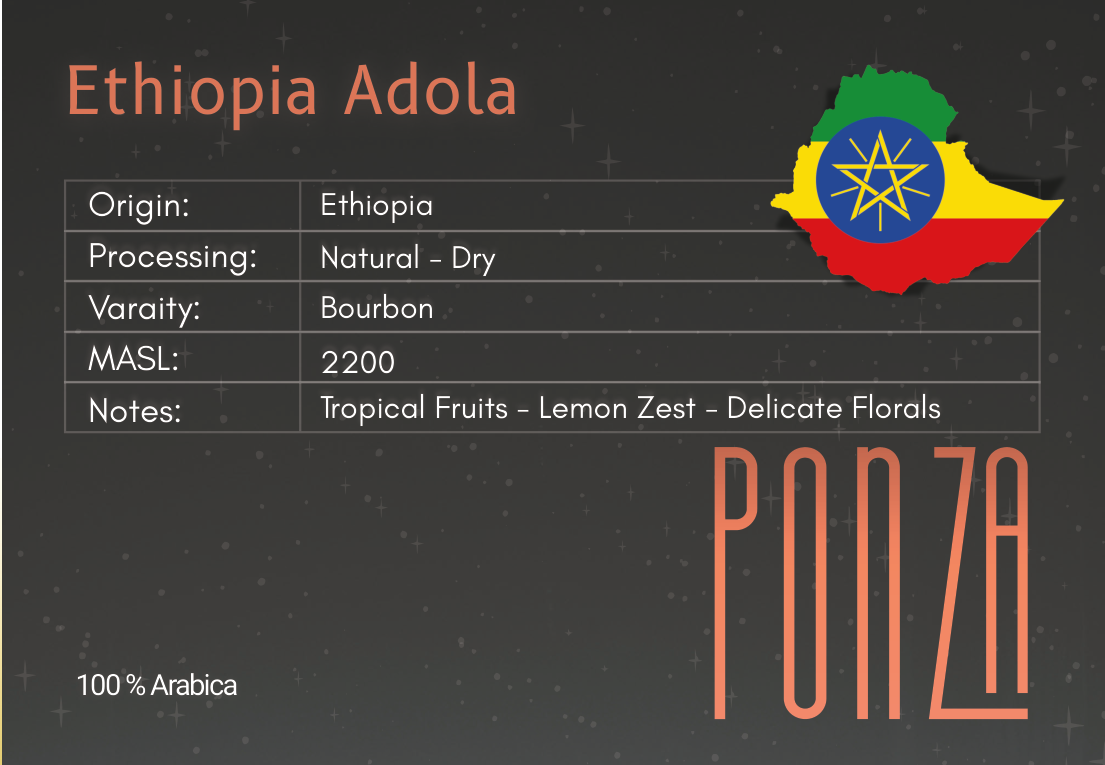 Adola – Coffee Beans Ethiopia 1000G
